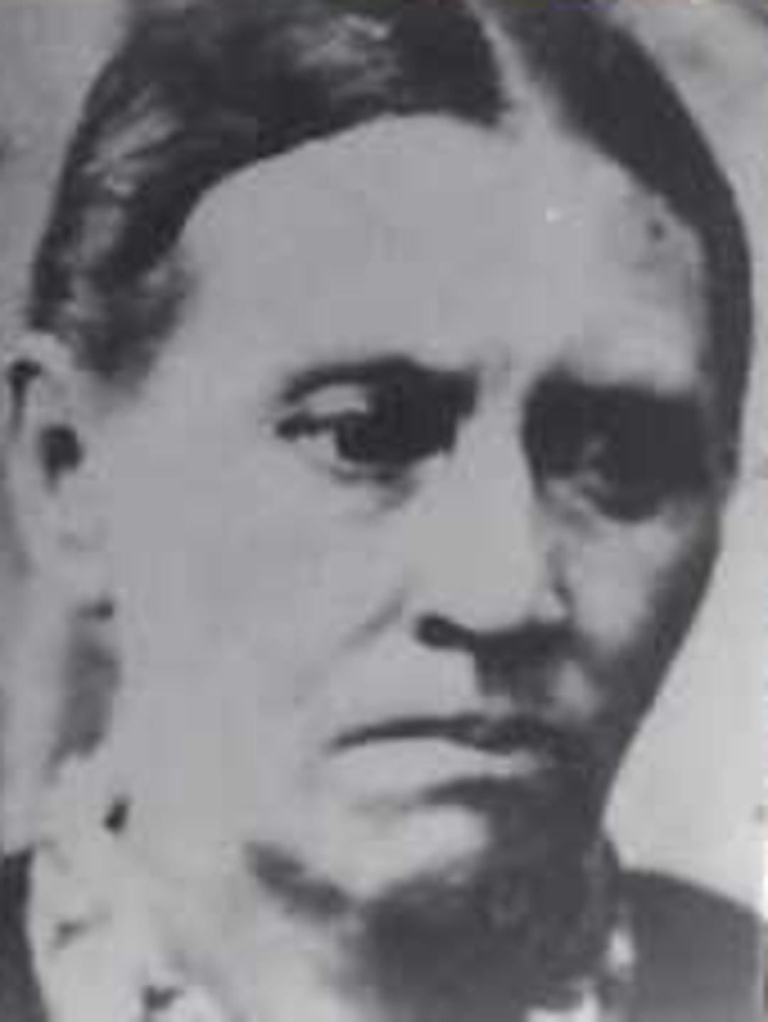 Julia Aner Carbine (1830 - 1914) Profile